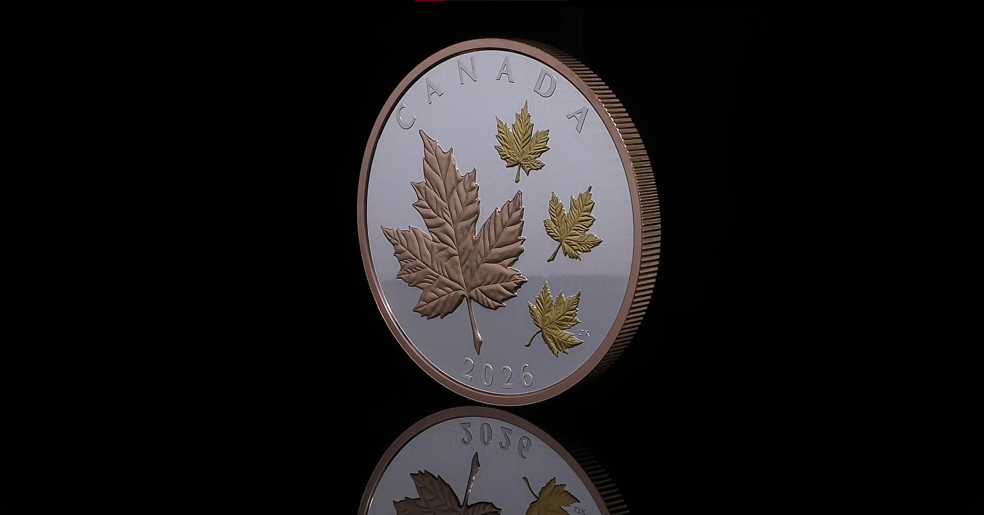 Maple Leaves in Motion Silver Coin